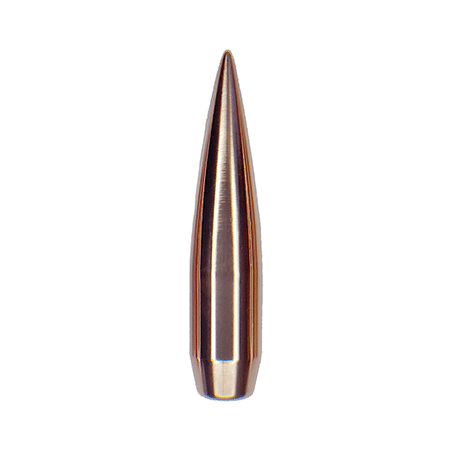 Solid Brass Reloading Bullets